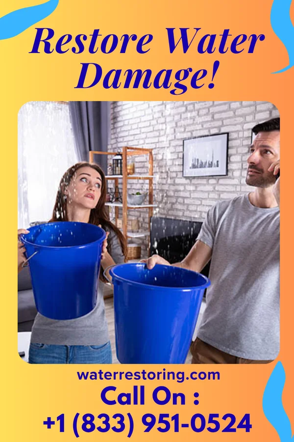 water restoration Stellar Water Cleanup Pros Roslyn