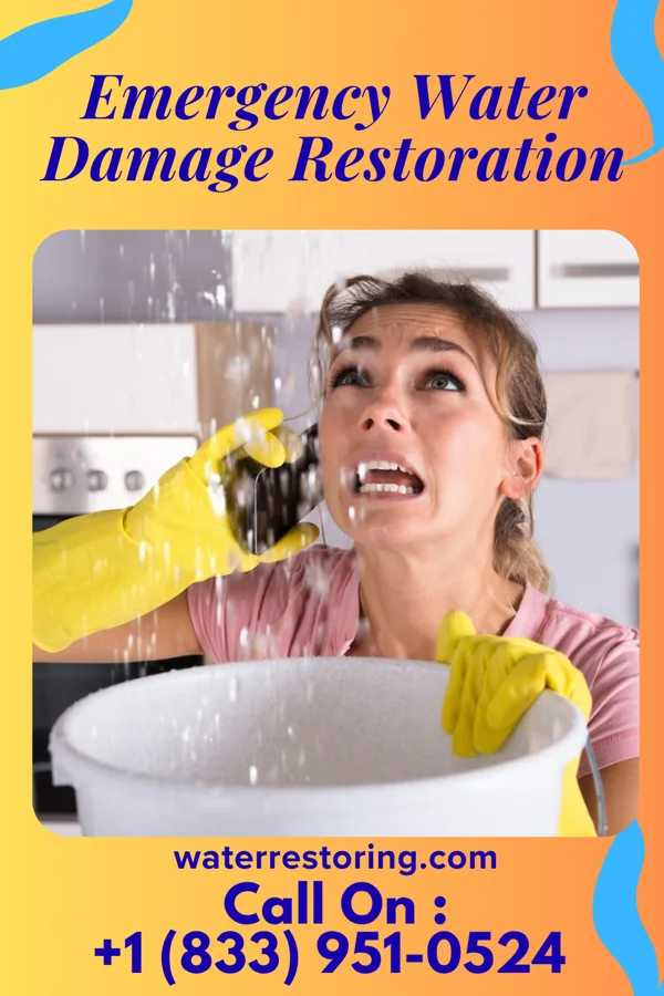 Emergency Water Damage Restoration in Roslyn, NY