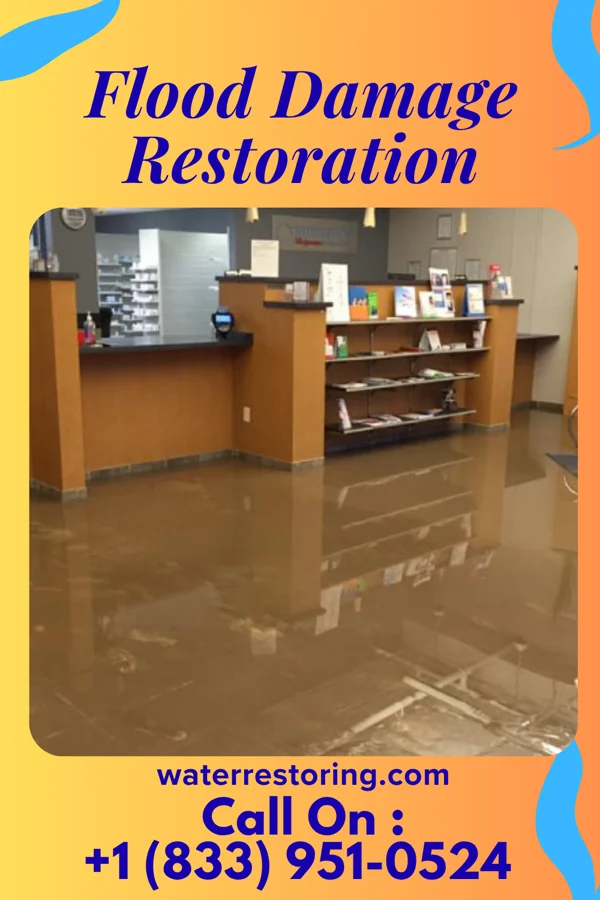 Flood Damage Restoration in Roslyn, NY
