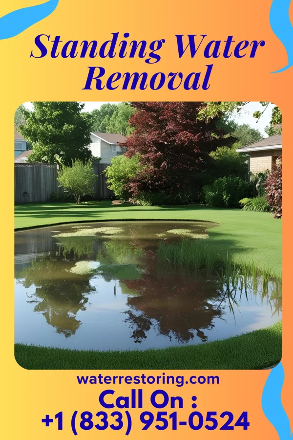 Standing Water Removal in Roslyn, NY